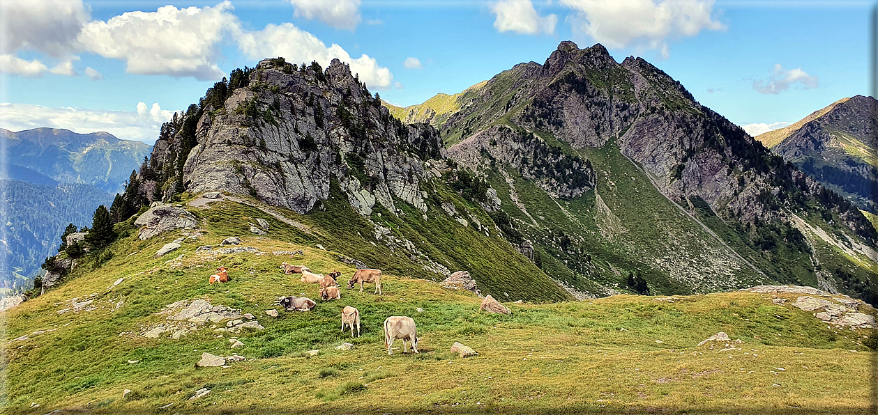 foto Forcella di Val Moena